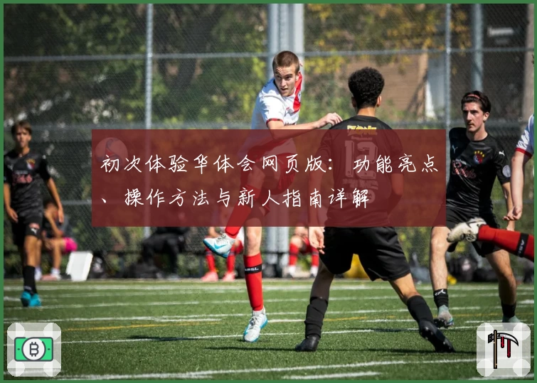 初次体验华体会网页版：功能亮点、操作方法与新人指南详解