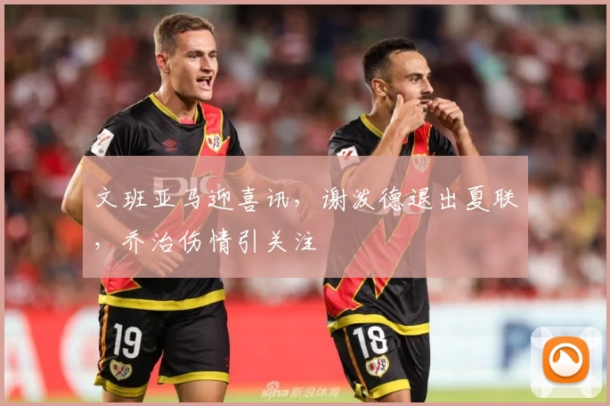 文班亚马迎喜讯，谢泼德退出夏联，乔治伤情引关注