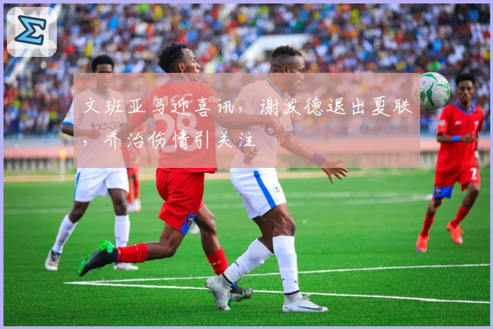 文班亚马迎喜讯,谢泼德退出夏联,乔治伤情引关注